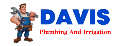 Trusted plumber in MINTER